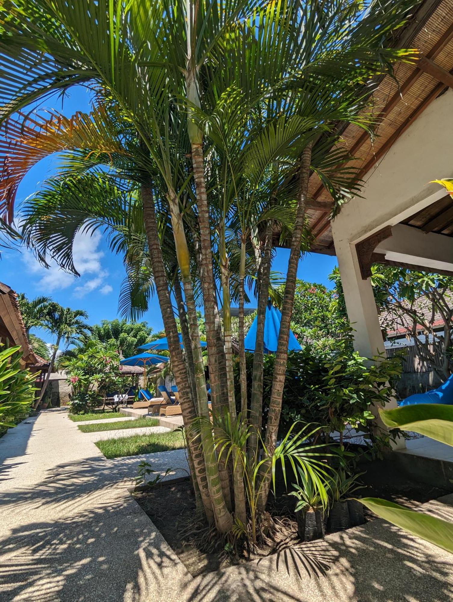 Indigo Bungalows Гили Траванган Экстерьер фото